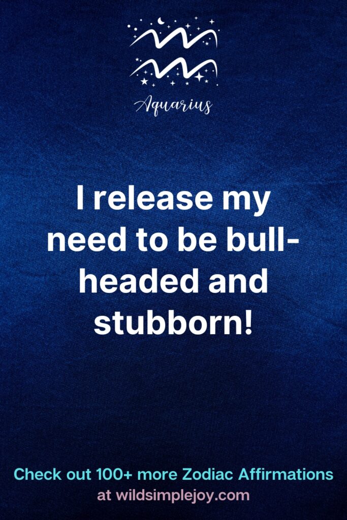 Aquarius Affirmations 22
