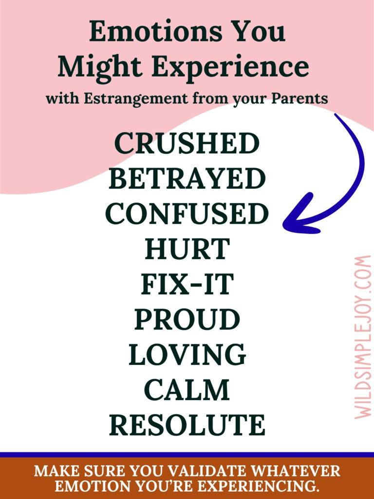Emotions You May Experience with estrangement from your parents Wild Simple Joy Pinterest Image