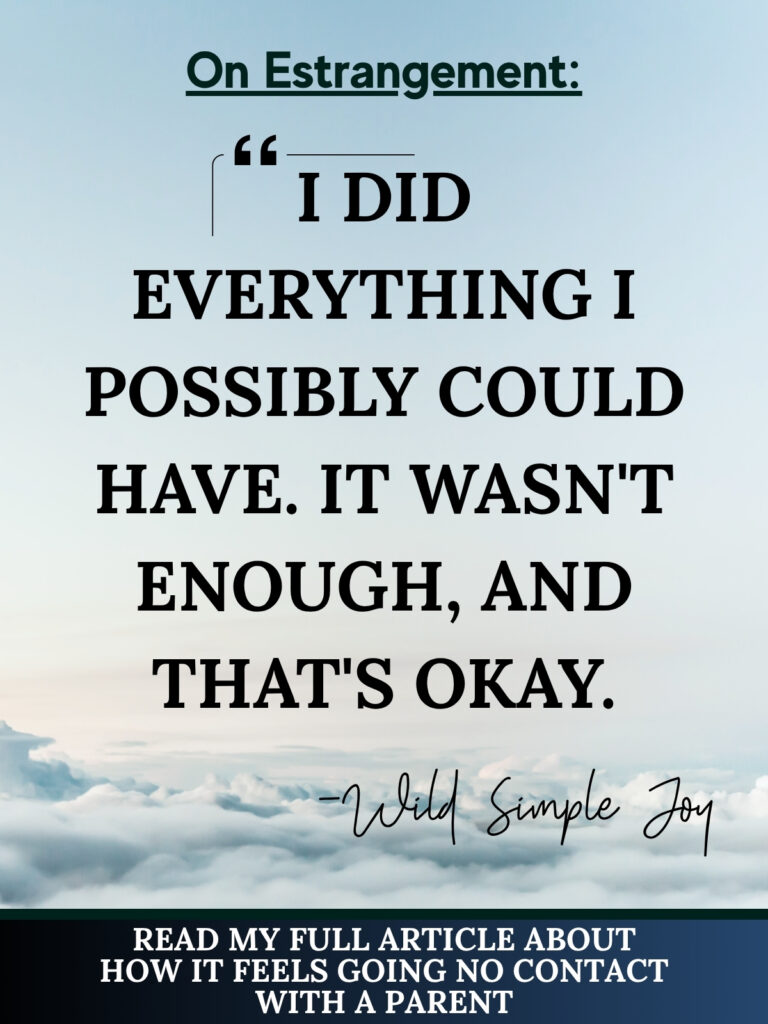 I did everything I possibly could have. It wasn't enough, and that's okay. Quote about parental estrangement Wild Simple Joy Pinterest Image 11