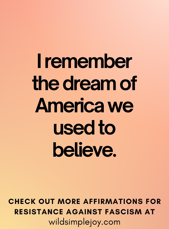 I remember the dream of America we used to believe