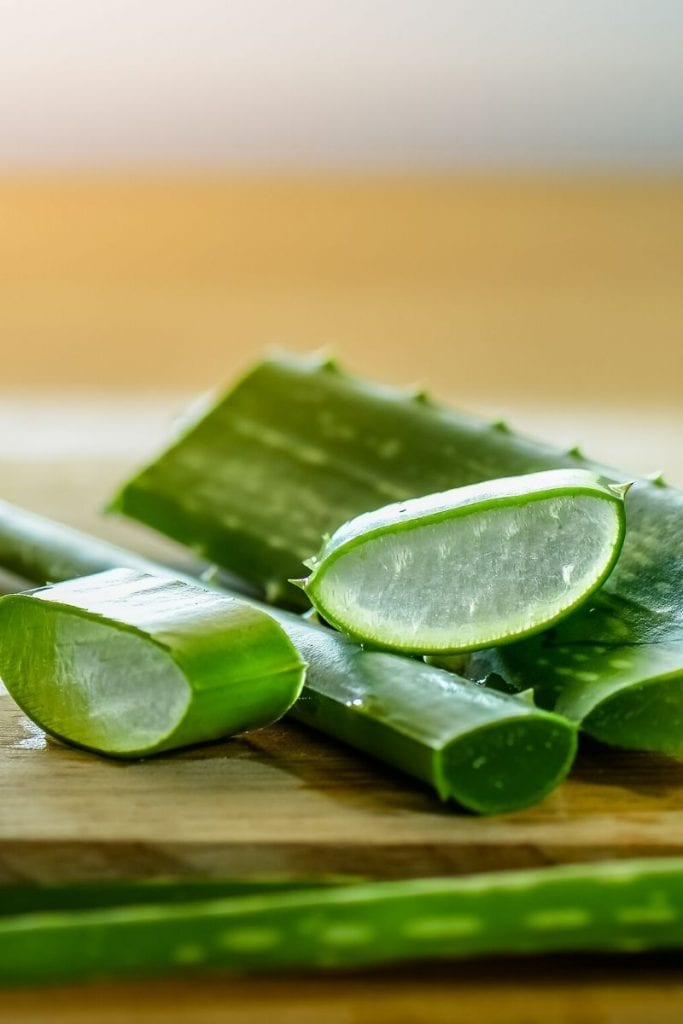 Aloe vera is a powerful component of the 7-Day Arbonne Body Cleanse.