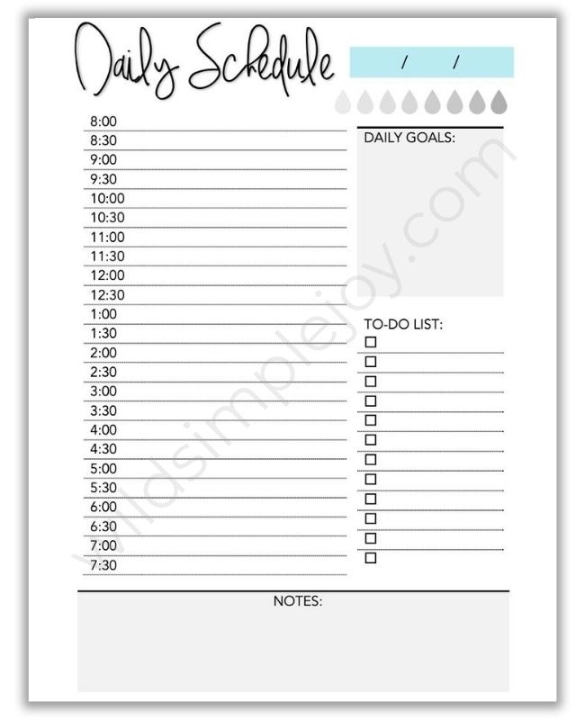 Daily Schedule Planner page in the Goal Planner Affirmation Planner All in 1 from Wild Simple Joy
