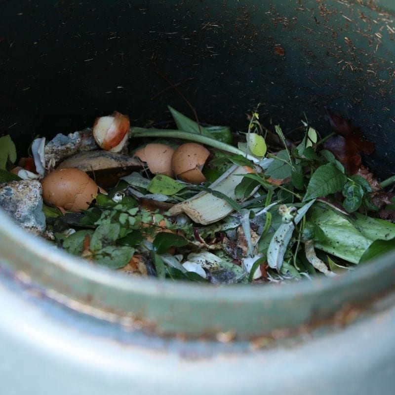 Collection of compost materials.