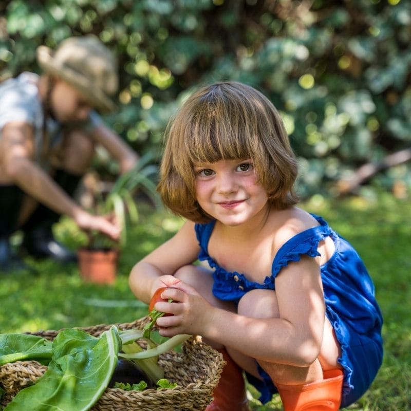 Little girl gardening.