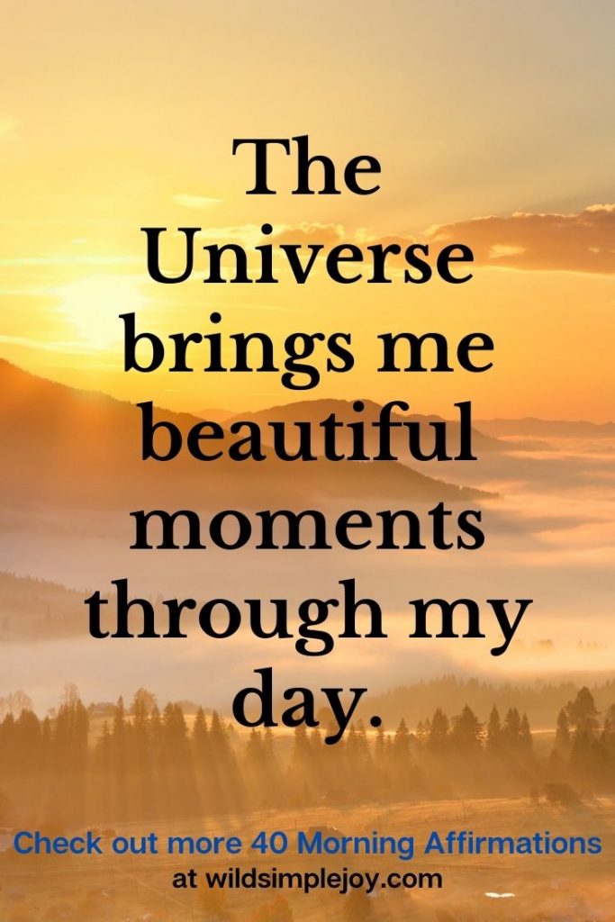 The Universe brings me beautiful moments through my day