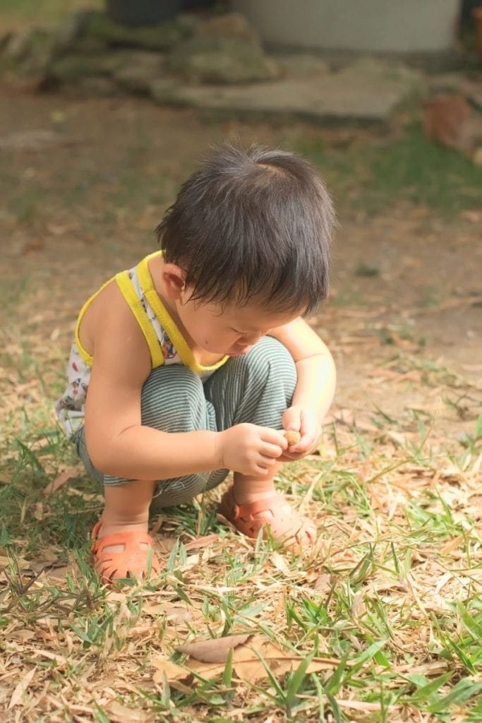 The ultimate minimalist toddler toy is nature