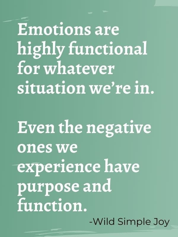 Emotions are highly functional for whatever situation we're in. Even the negative ones we experience have purpose and function. -Wild Simple Joy