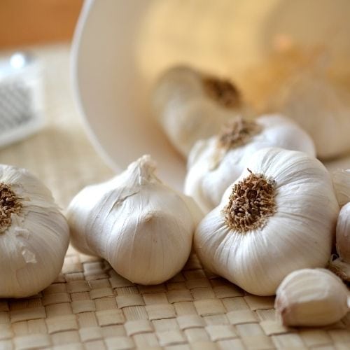 Garlic has potent antibacterial properties
