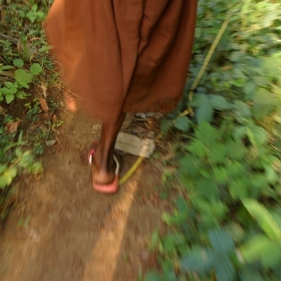 Woman walking. What does it mean to be wild and free? It means to understand that everyone has a different path