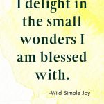 I delight in the small wonders I am blessed with, Affirmations for Happiness