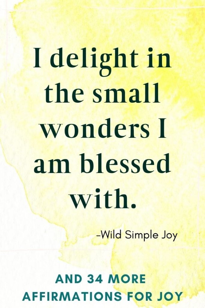 I delight in the small wonders I am blessed with, Affirmations for Happiness