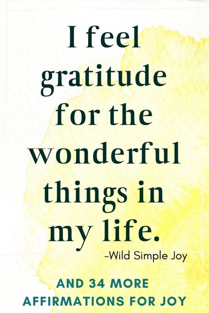 I feel gratitude for the wonderful things in my life