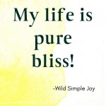 My life is pure bliss! Affirmations for Happiness