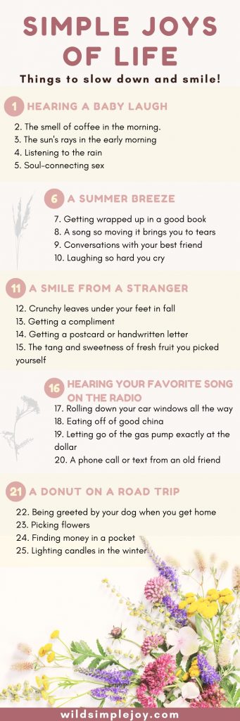 Little Pleasures of Life, Simple Joys in Life (Pinterest Image)