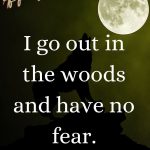I go out in the woods and have no fear