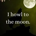 I howl to the moon Wild Woman Affirmations