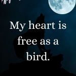 My heart is free as a bird