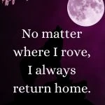 No matter where I rove, I always return home