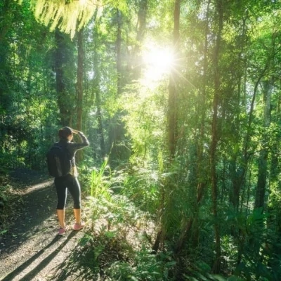 Woman hiking through dense trees