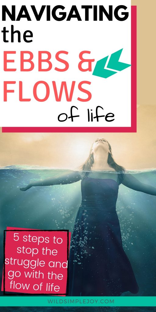 Pinterest Image: Navigating the Ebb and Flow of life. 5 steps to stop the struggle and go with the flow of life.