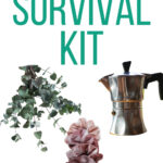 Stay at Home Mom Survival Kit Ideas (Pinterest Image)