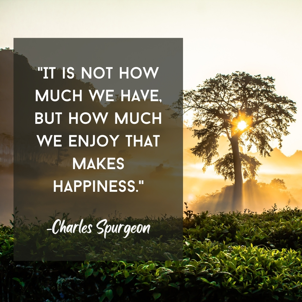 "It is not how much we have, but how much we enjoy that makes happiness." Charles Spurgeon quote