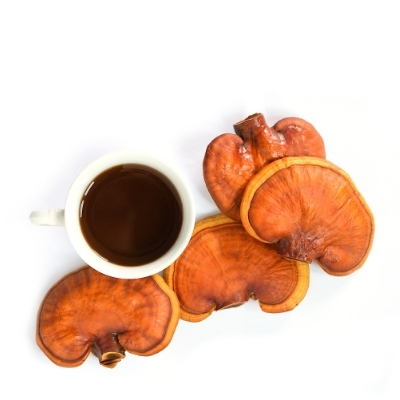 Reishi mushroom