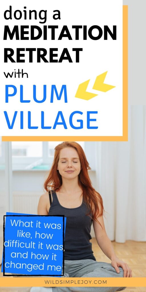 Pinterest Image, Doing a Meditation Retreat with Plum Village
