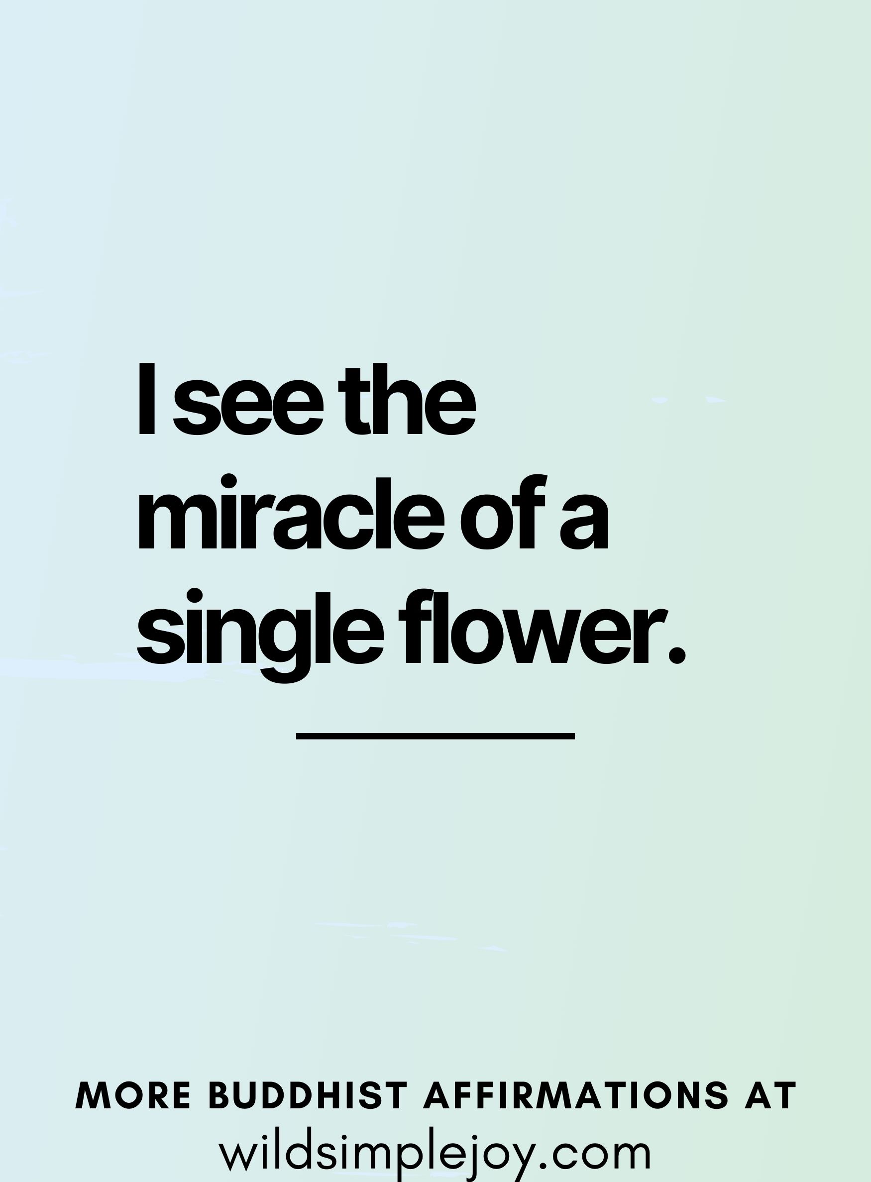 I see the miracle of a single flower. (affirmation based on a Buddha quote, on a green and blue background)