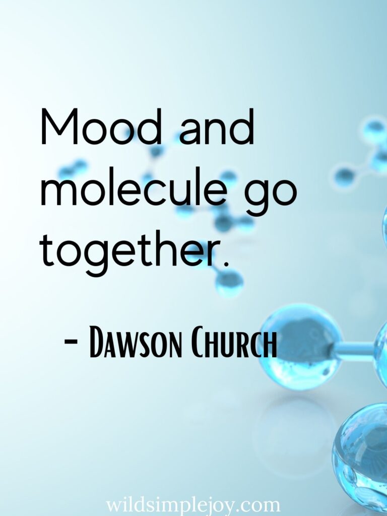 Mood and molecule go together, quote by Dawnson Church in Mindvalley's Mystic Brain course review