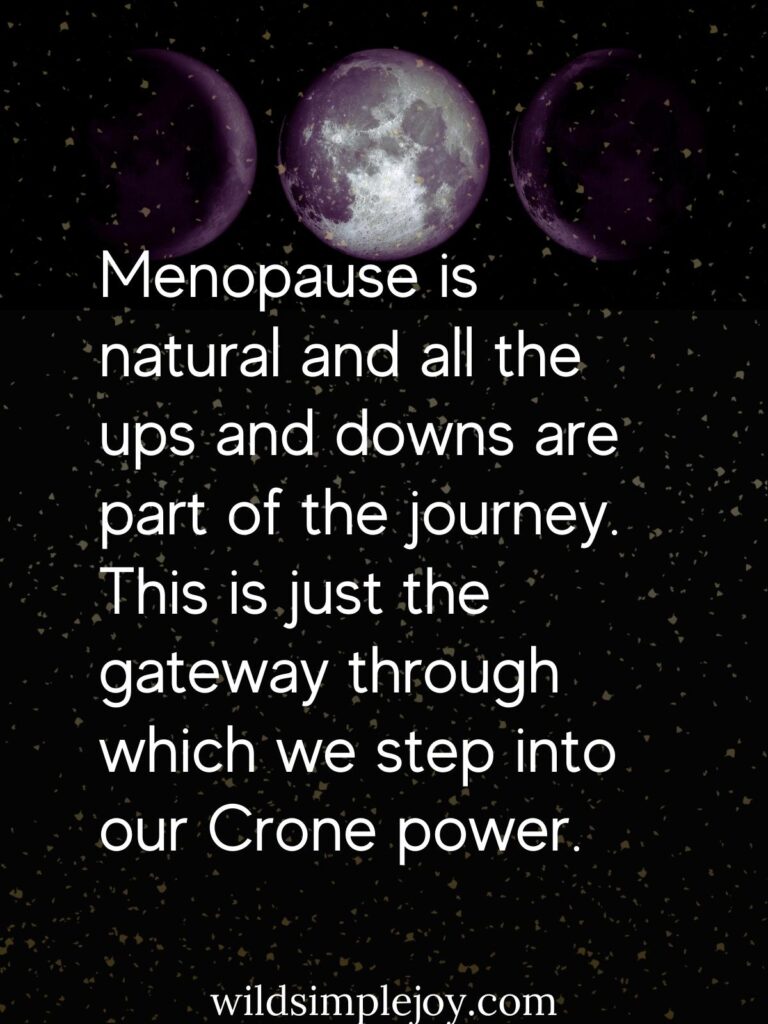 Menopause is natural and all the ups and downs are part of the journey. This is just the gateway through which we step into our Crone power. Wild Simple Joy (Affirmations for Menopause)