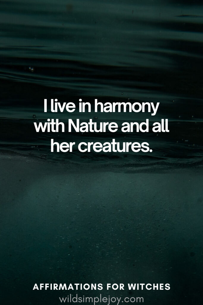Vertical pin image with dark green background and text overlay, I live in harmony with Nature.Witchy Affirmations wildsimplejoy.com