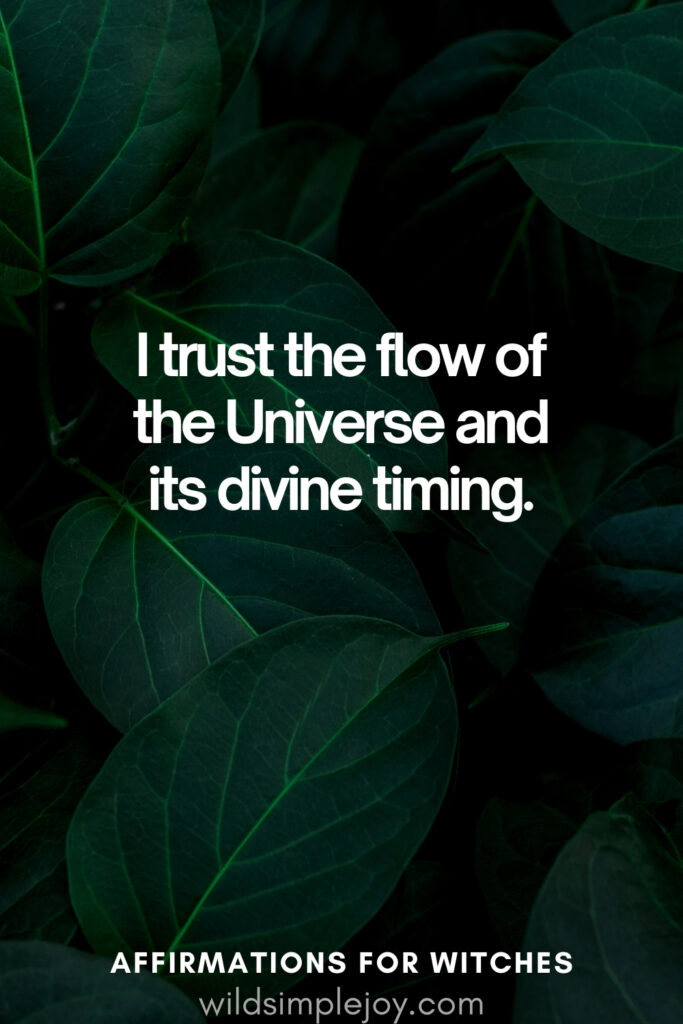 Vertical pin image with dark green background and text overlay, I trust the flow of the Universe and its divine timing. Affirmations for Witches wildsimplejoy.com