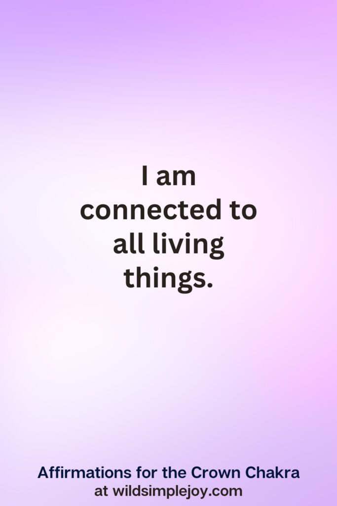 Vertical pin image with purple background and text overlay, I am connected to all living things. Crown Chakra Affirmations at wildsimplejoy.com