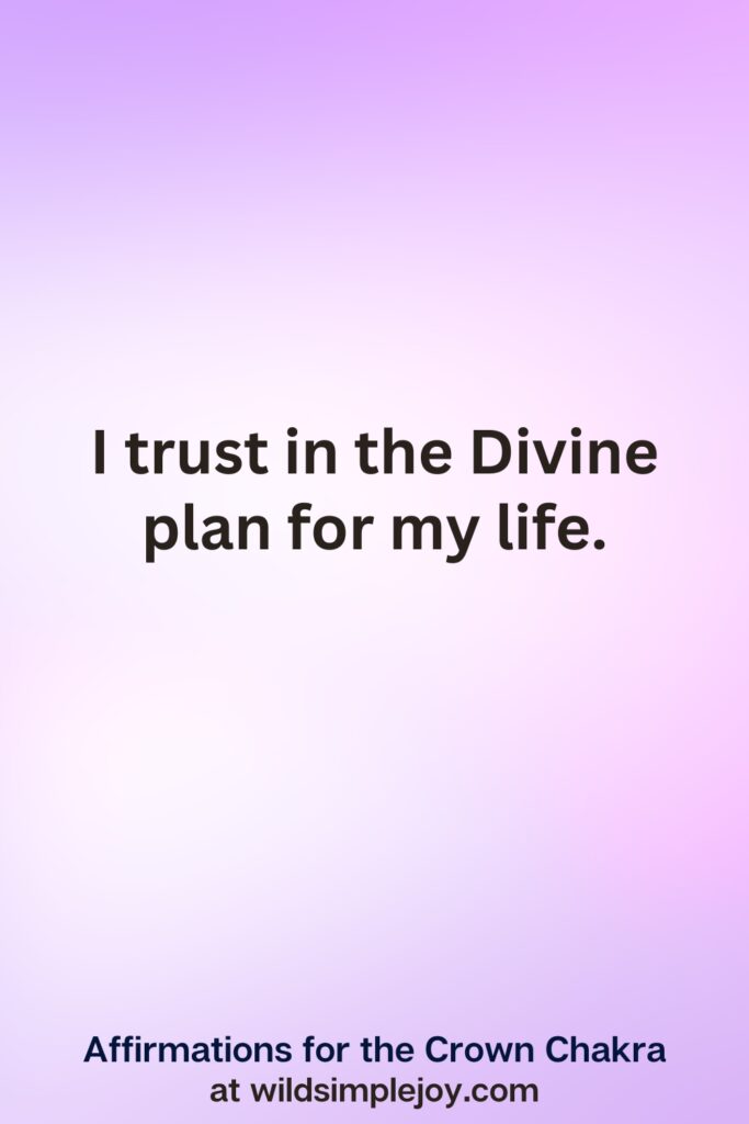 Vertical pin image with purple background and text overlay, I trust in the Divine plan for my life. Crown Chakra Affirmations at wildsimplejoy.com