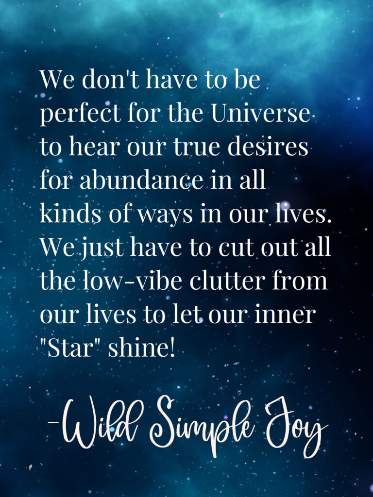 Social Media sharing image with text: We don't have to be perfect.... quote from Wild Simple Joy. What are abundance blocks?