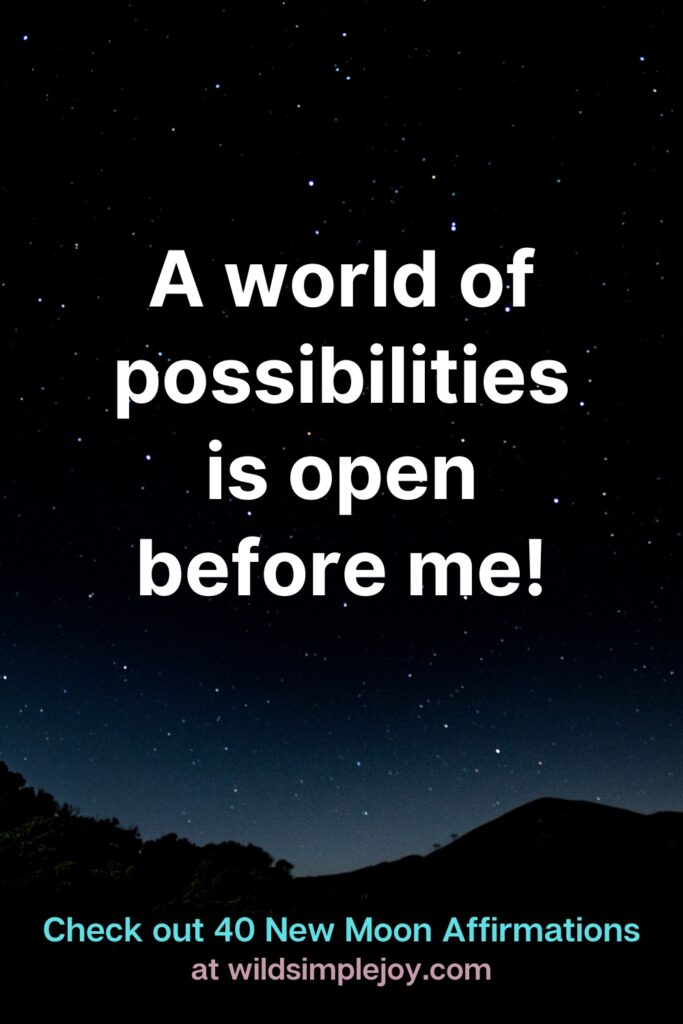 A world of possibilities is open before me! Check out 40 New Moon Affirmations at Wild Simple Joy