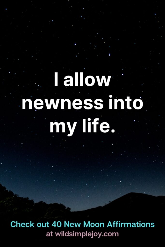 I allow newness into my life. Check out 40 New Moon Affirmations at Wild Simple Joy