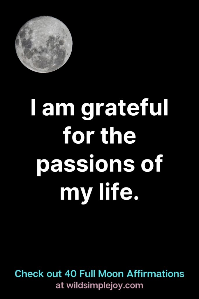 I am grateful for the passions of my life