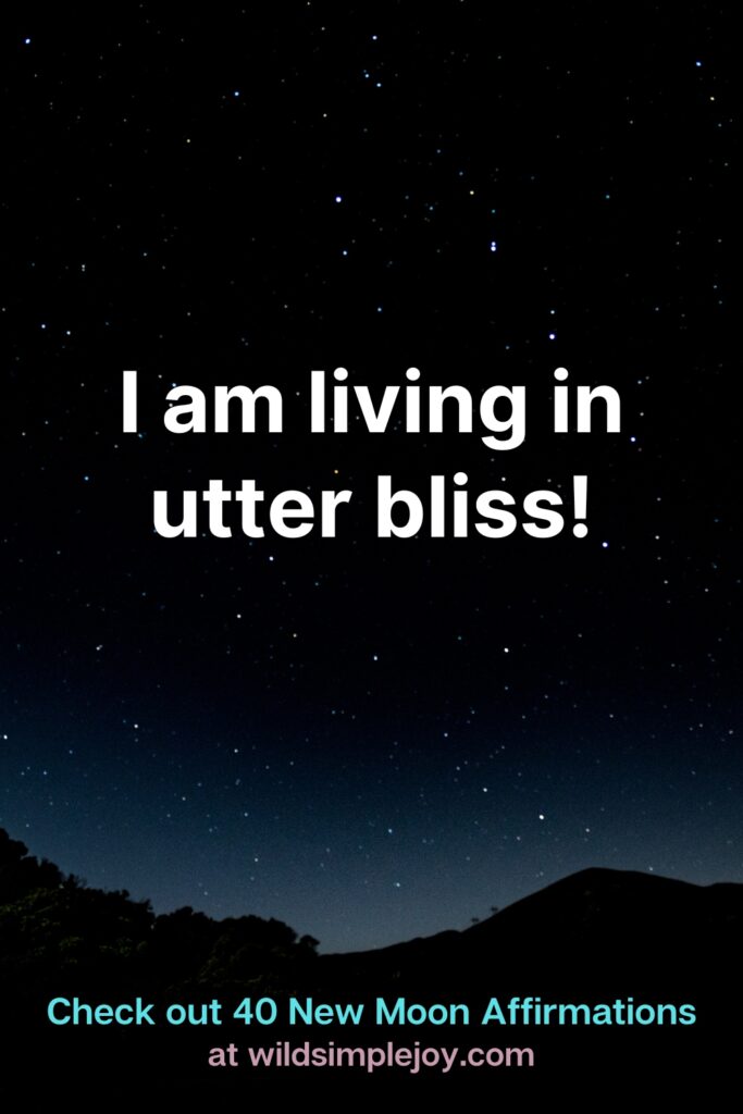 I am living utter bliss! Check out 40 New Moon Affirmations at Wild Simple Joy