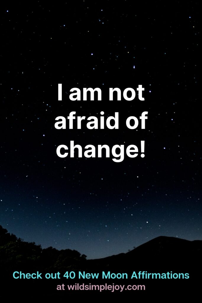 I am not afraid of change. Check out 40 New Moon Affirmations at Wild Simple Joy
