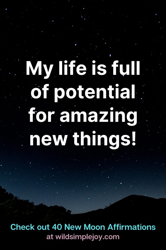 My life is full of potential for amazing new things! Check out 40 New Moon Affirmations at Wild Simple Joy