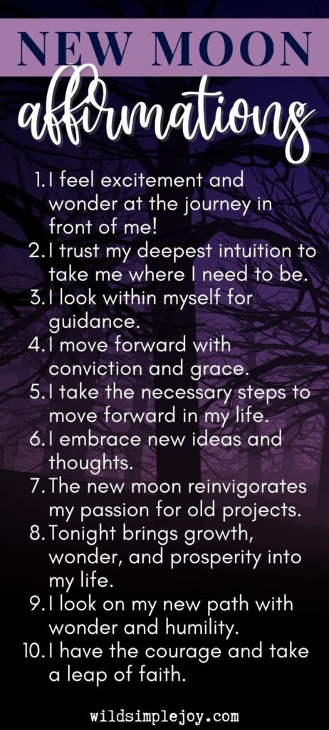 New Moon Affirmations Vertical Pinterest and social sharing image with 10 affirmations from Wild Simple Joy