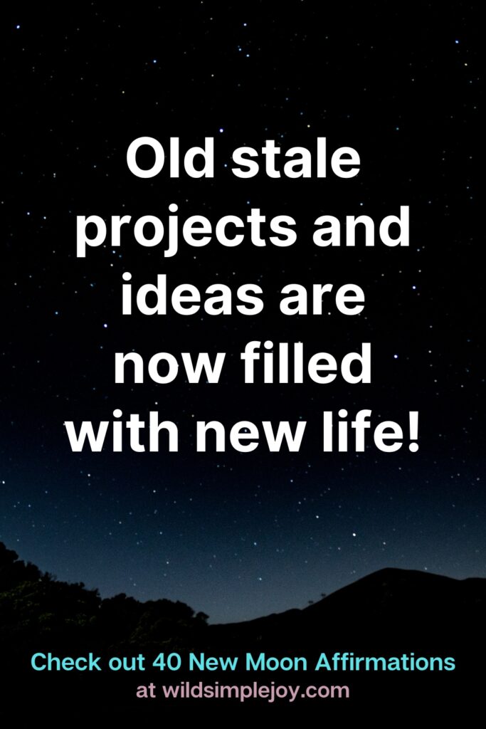 Old stae projects and ideas are now filled with new life! Check out 40 New Moon Affirmations at Wild Simple Joy