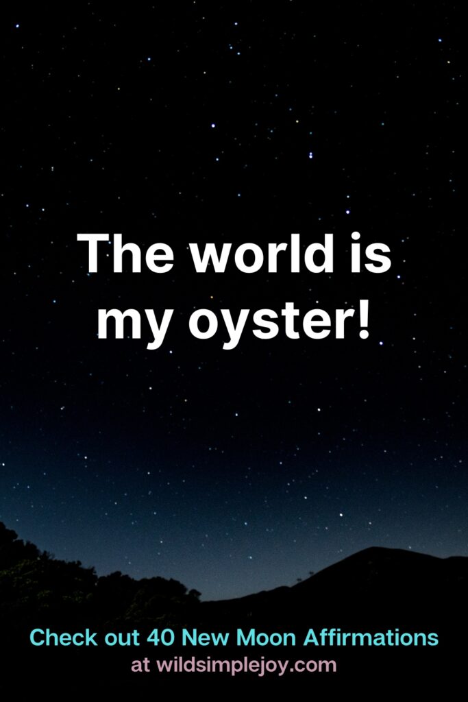 The world is my oyster! Check out 40 New Moon Affirmations at Wild Simple Joy