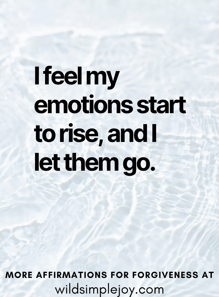 Forgiveness Affirmation I feel my emotions start to rise and I let them go