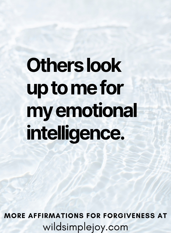 Others look up to me for my emotional intelligence