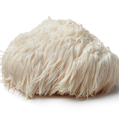 Lion's mane mushroom