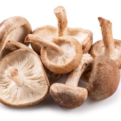 Shiitake mushroom