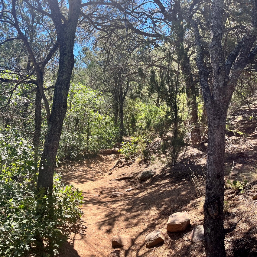 Hike in New Mexico trails over the summer